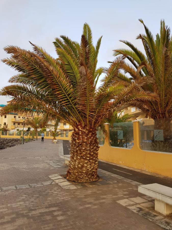 Casa Mia Διαμέρισμα Caleta De Fuste Εξωτερικό φωτογραφία